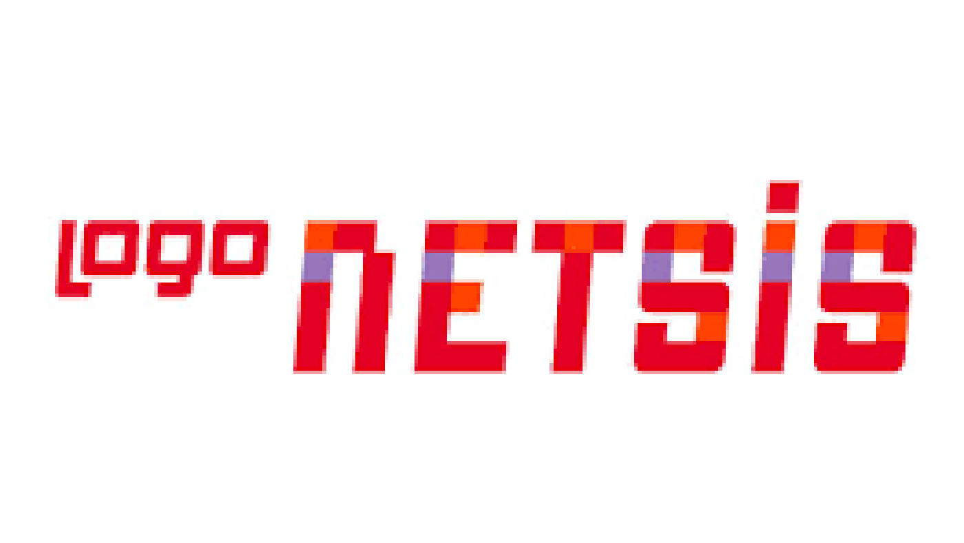 Netsis ile Entegre B2B Yazılımı: Bayi Yönetimini Otomatikleştiren Güçlü Altyapı